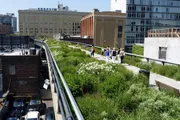 People are walking along a lush green urban park built on an elevated rail line above city streets.