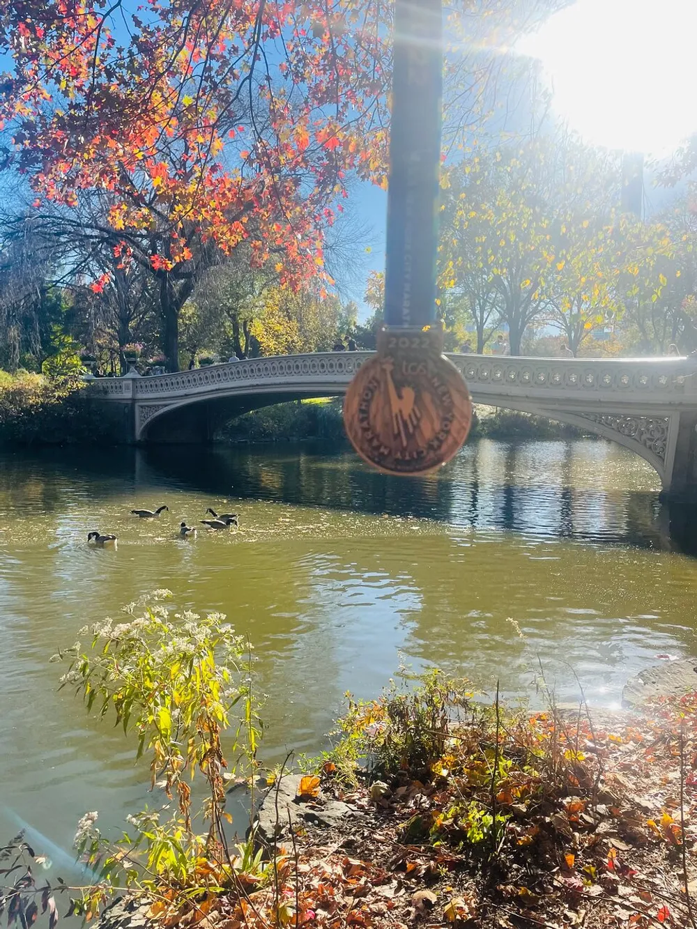 The image captures a scenic autumnal view of a bridge over water with ducks swimming vibrant fall foliage and a medal hanging in the foreground creating a sense of achievement in a picturesque setting