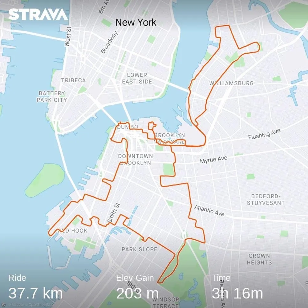The image displays a Strava activity map highlighting a 377 km bike ride in New York with an elevation gain of 203 meters completed in 3 hours and 16 minutes