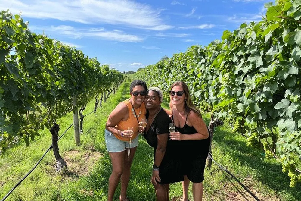 Three people are smiling and posing with glasses of wine in a lush vineyard on a sunny day