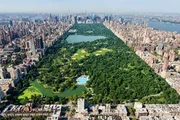 This is an aerial view of Central Park in New York City, showcasing its expansive green space amidst the surrounding urban landscape.