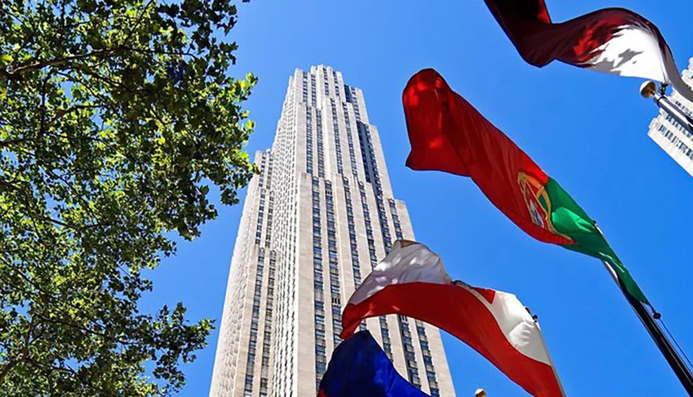The image shows a tall skyscraper towering above a colorful display of international flags under a clear blue sky framed by the leaves of a green tree