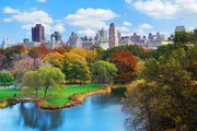 The image showcases a vibrant autumnal view of Central Park with its colorful foliage and tranquil pond against the backdrop of New York City's skyscrapers.