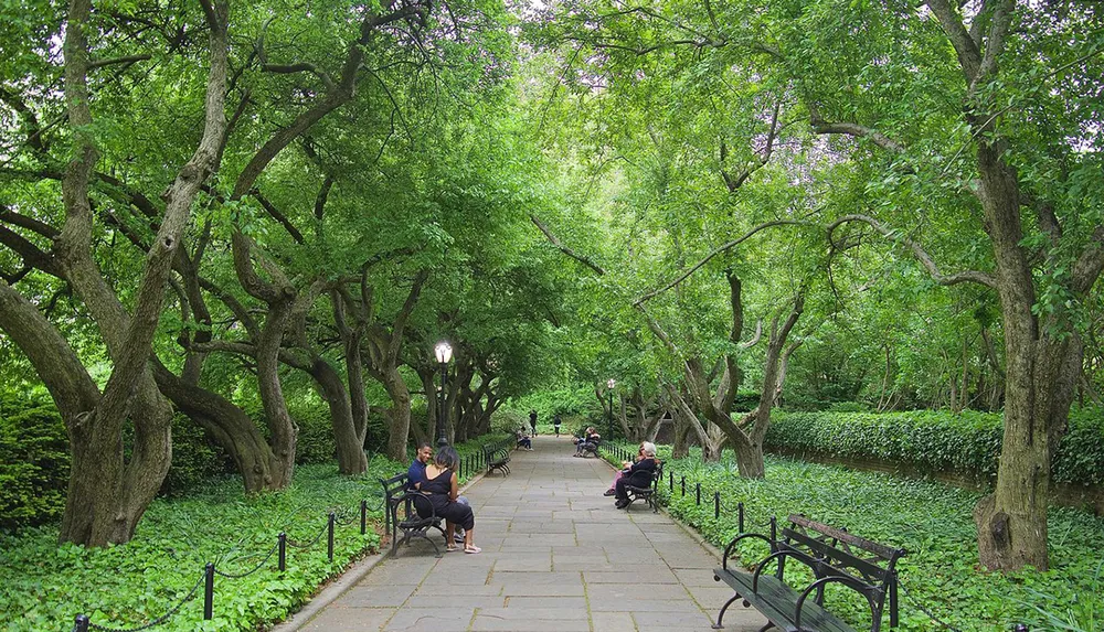 The image shows a serene tree-lined walkway with benches and a few people enjoying a peaceful moment in what appears to be a lush green park