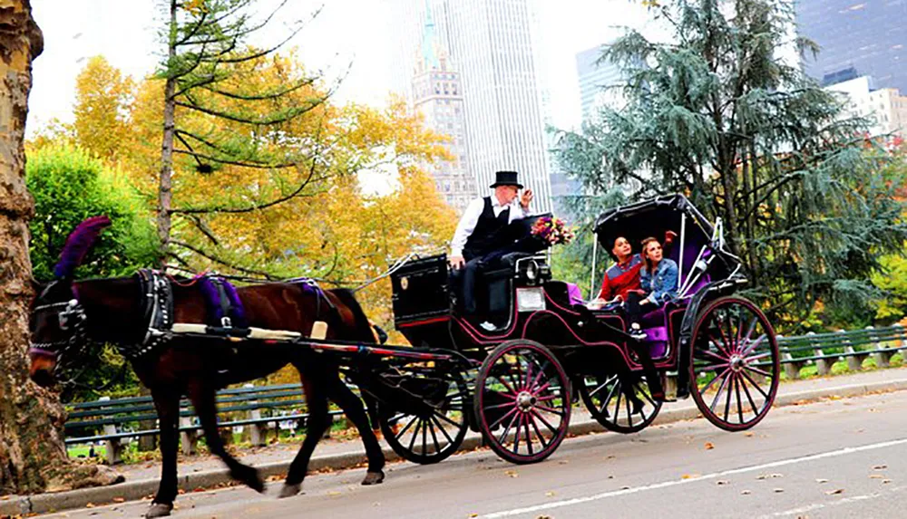 A horse-drawn carriage with passengers is being driven by a coachman through a park-like setting with autumnal trees and urban skyscrapers in the background