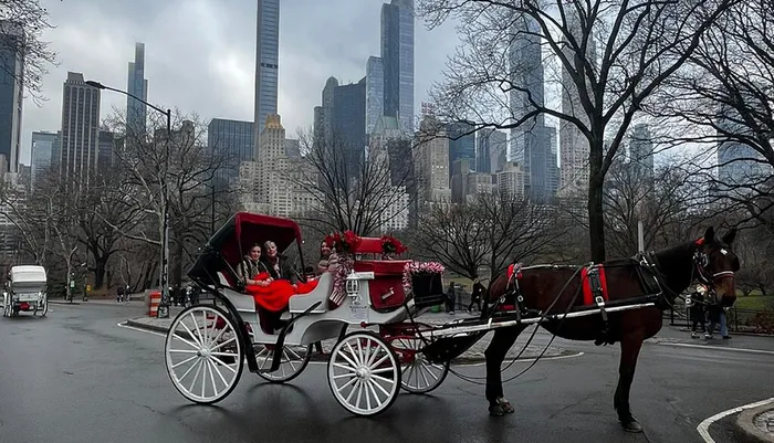 NYC Horse Carriage Ride Photo