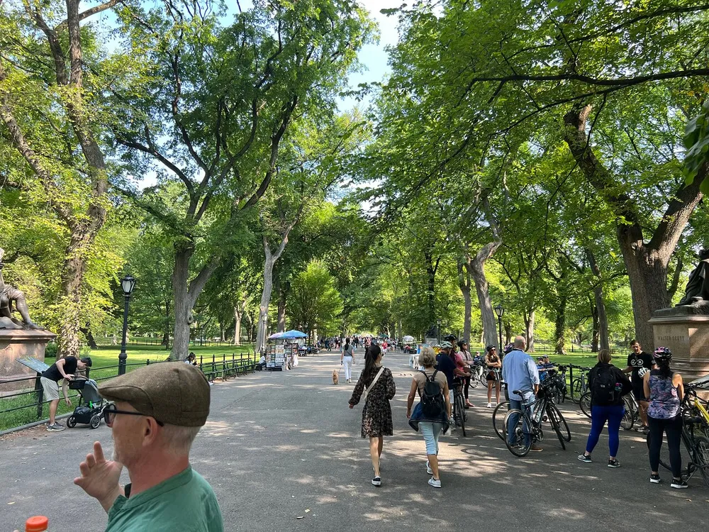 People are enjoying a sunny day walking cycling and socializing in a tree-lined park with statues and a vendor cart