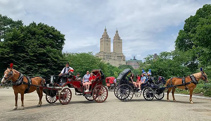 NYC Horse Carriage Rides - Central Park VIP Tour with Photo Stops (55 Min) Photo