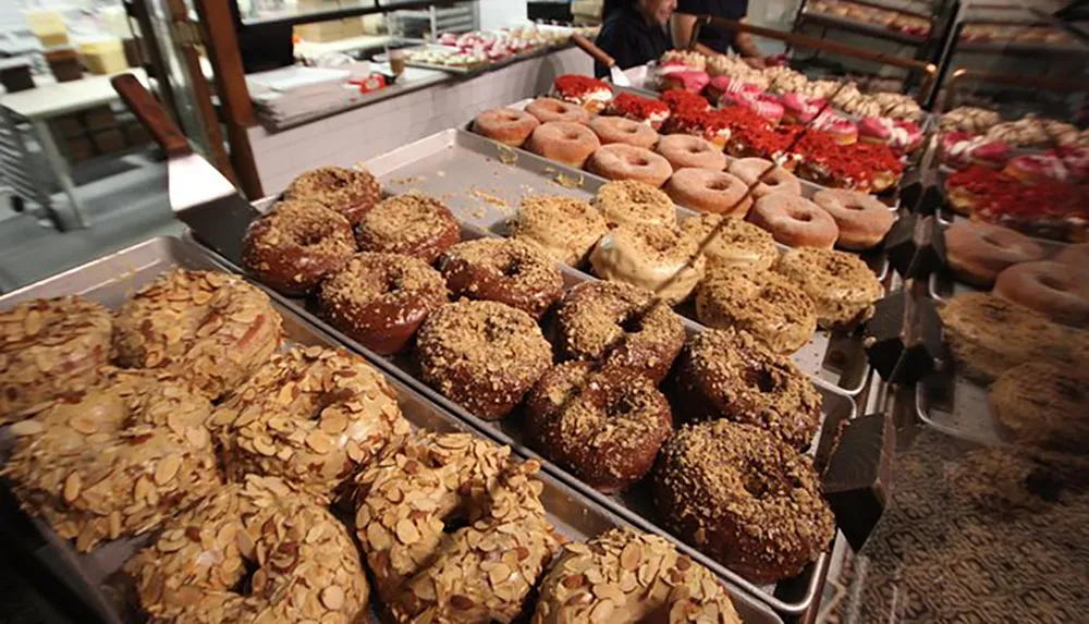 The image shows a variety of gourmet doughnuts topped with different ingredients such as nuts and icings displayed in a bakery setting
