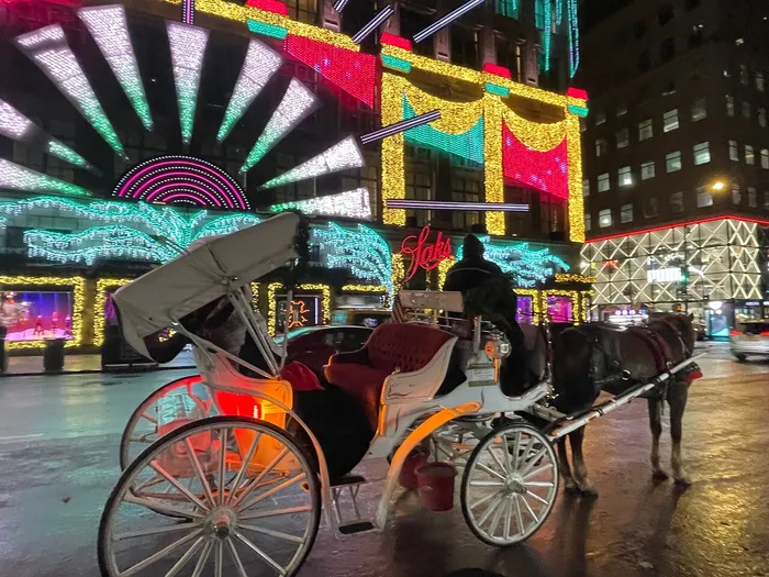 Private NYC Christmas Lights Horse Carriage Ride Photo