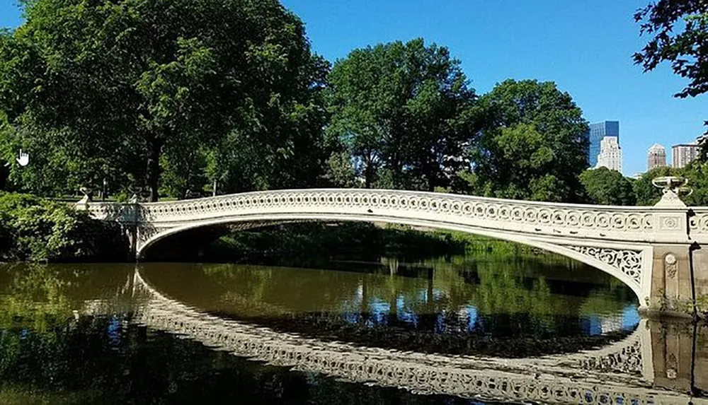This image shows an ornate white stone bridge arching gracefully over a calm body of water reflecting in it with a backdrop of lush trees and the contrasting skyline of a city in the distance