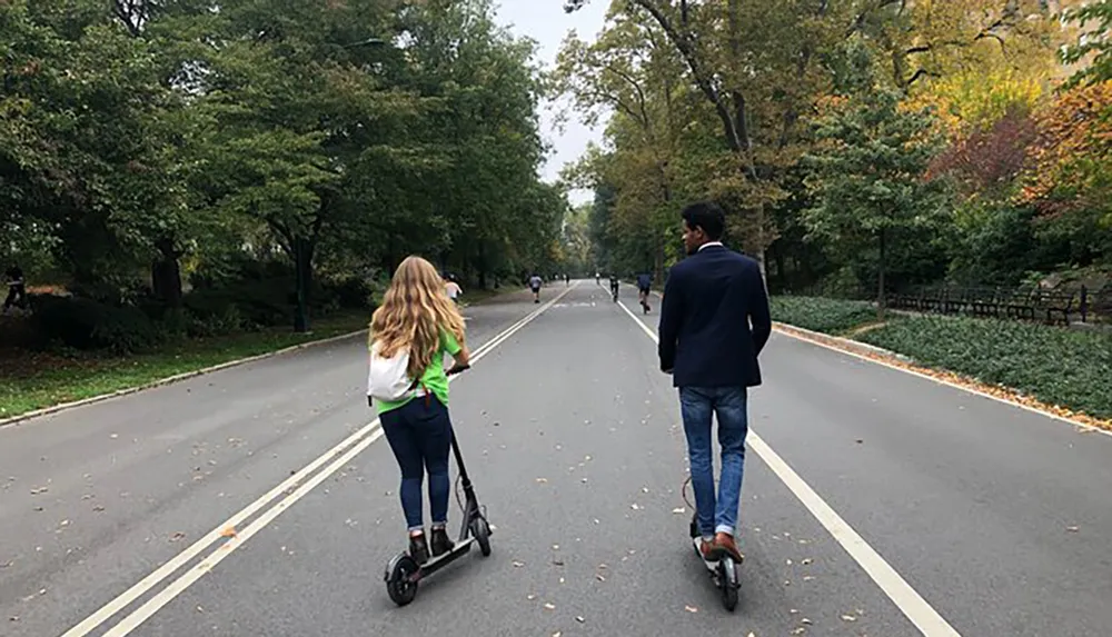 Two people are riding electric scooters down a tree-lined road in what appears to be a park setting