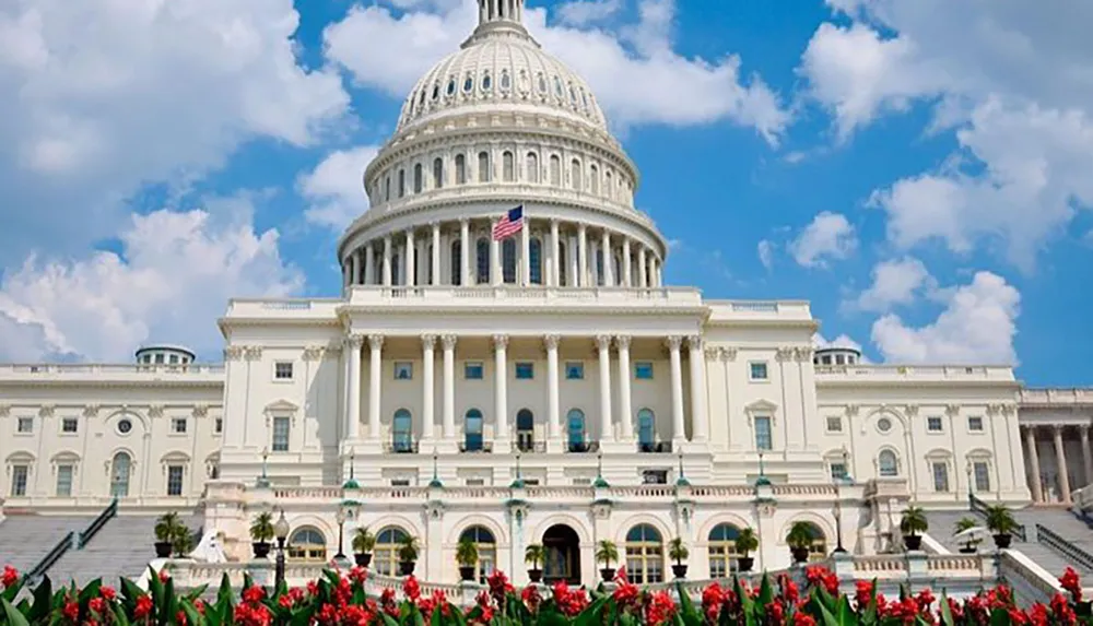 The image shows the United States Capitol building on a sunny day with a clear blue sky and red flowers in the foreground