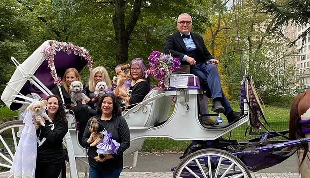 A group of people with their dogs are posing for a photo with a decorated horse-drawn carriage in a park setting