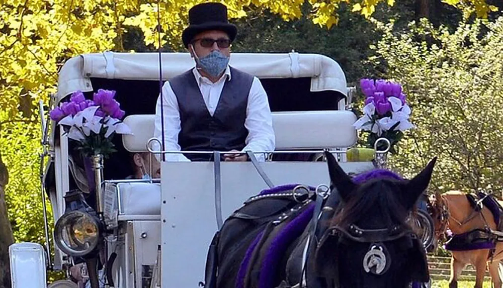 A person in a top hat and face mask is driving a horse-drawn carriage decorated with purple flowers