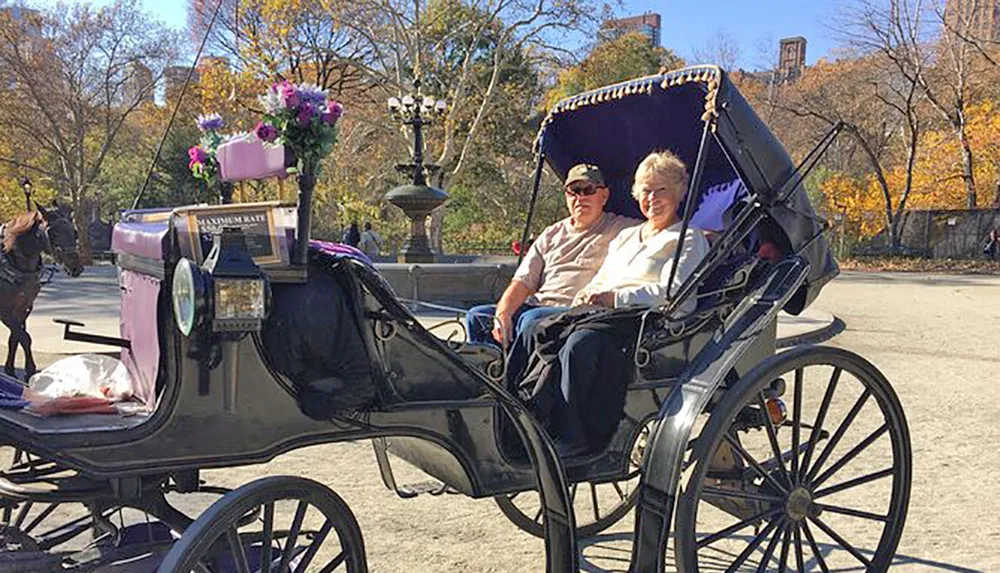 Two individuals are enjoying a horse-drawn carriage ride on a sunny day with autumn foliage in the background