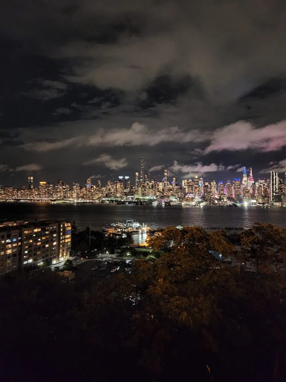 The image shows a vibrant nighttime view of a city skyline across a body of water under a cloudy sky with foreground vegetation partially framing the scene