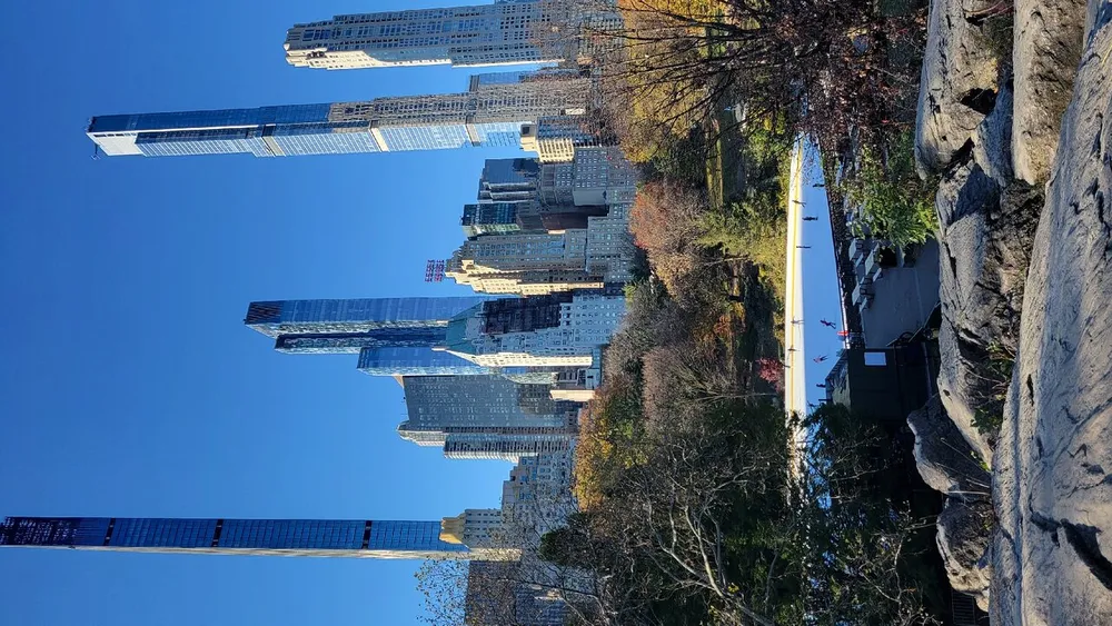 The image shows a view of tall skyscrapers from a park with greenery and rocks under a clear blue sky