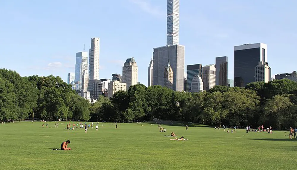 People enjoy a sunny day on a large grassy field with the backdrop of skyscrapers towering over the trees at the parks edge