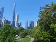 This image shows a vibrant urban park with lush green trees in the foreground and a backdrop of soaring skyscrapers against a clear blue sky.