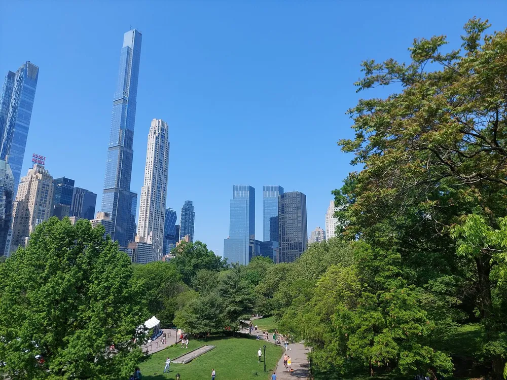 This image shows a vibrant urban park with lush green trees in the foreground and a backdrop of soaring skyscrapers against a clear blue sky