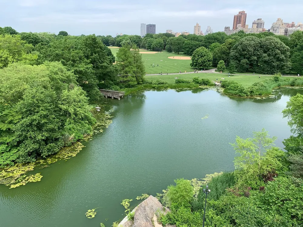 The image features an aerial view of a lush green park with a pond surrounded by dense trees and a backdrop of city buildings in the distance suggesting an urban oasis