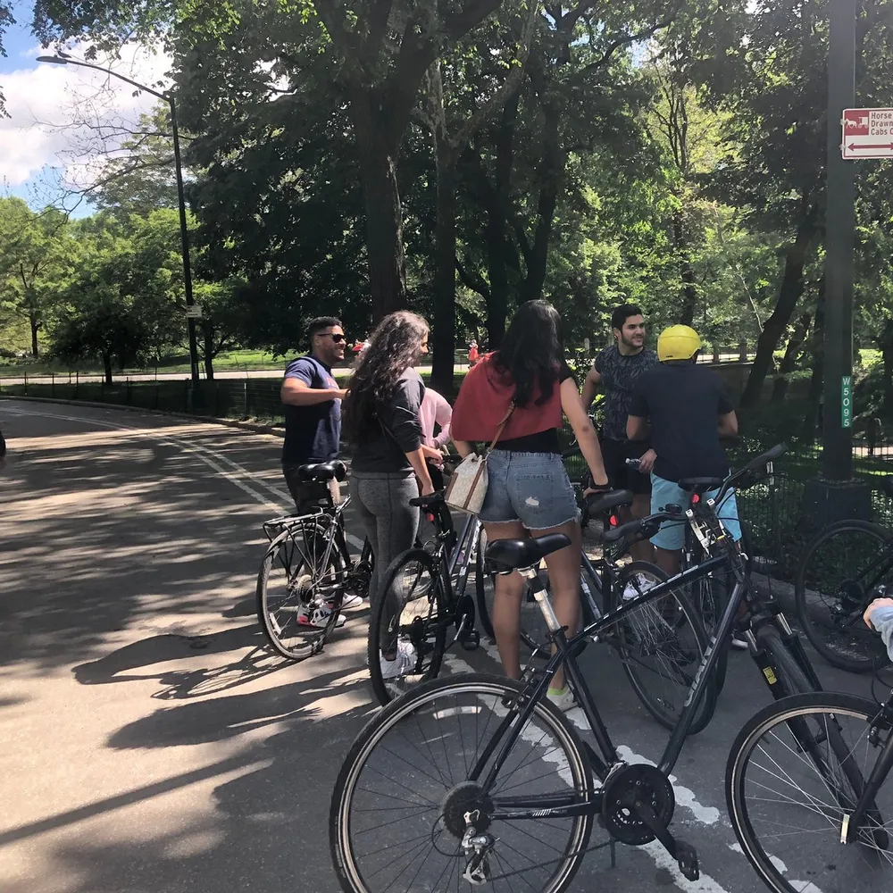 A group of people stand with their bicycles on a sunny day in a park engaging in conversation by a tree-lined pathway