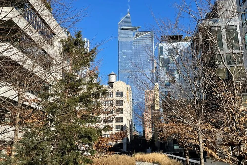 The image shows a view of contemporary skyscrapers towering above an urban park with trees and dry grass under a clear blue sky