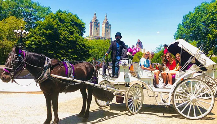 Horse & Carriage Ride Through Central Park, VIP Tour with Photo Stops (50min) Photo
