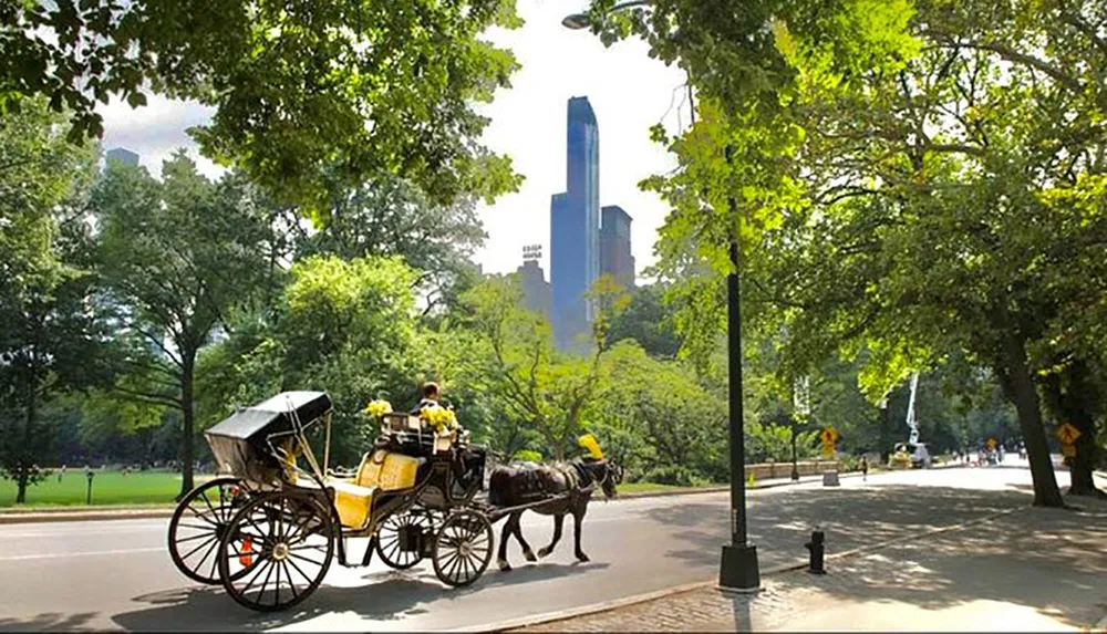 A horse-drawn carriage is traveling on a path in a lush park with skyscrapers visible in the background