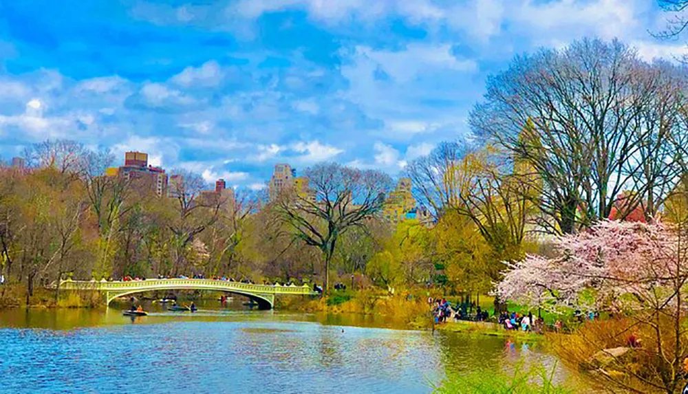 A picturesque scene of Central Park in spring with people enjoying the outdoors rowing on the lake and crossing a white bridge amidst blooming trees and a backdrop of city buildings