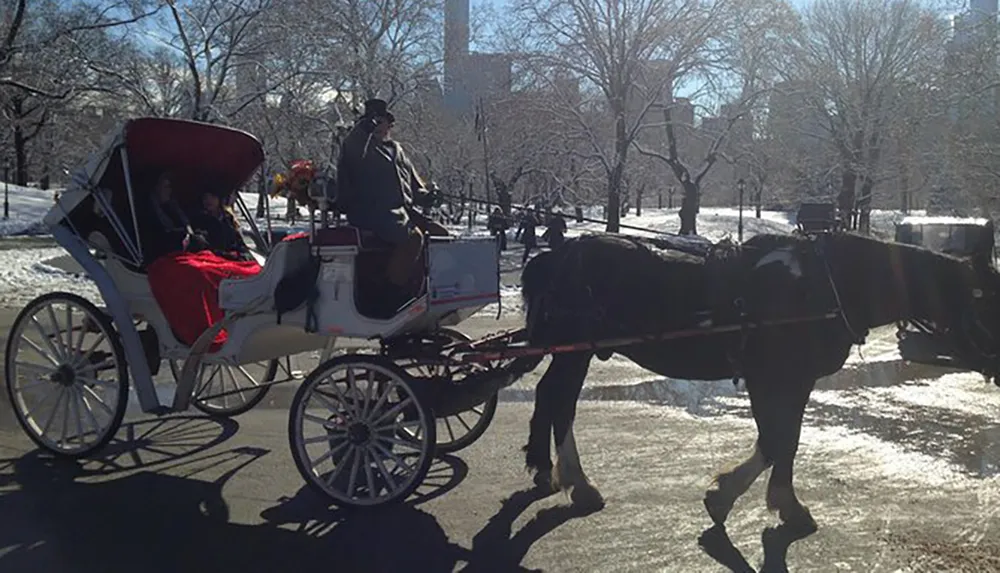A horse-drawn carriage with passengers rides through a snowy park under the bright winter sun