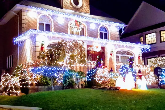 Dyker Heights Christmas Lights Tour in New York - Private Service Photo