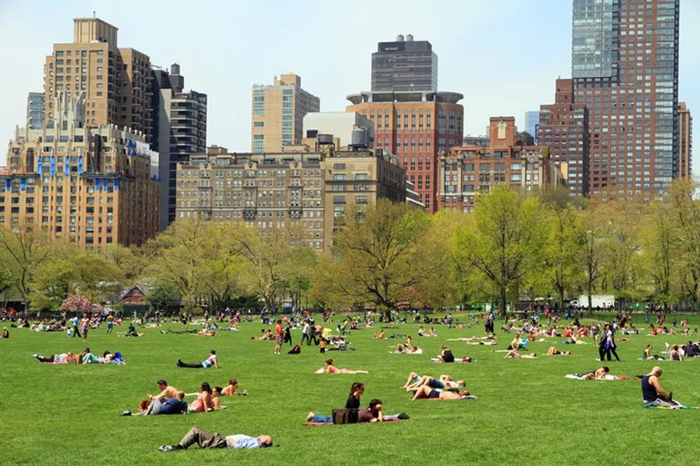 People are relaxing and enjoying a sunny day on a large grassy field with a backdrop of city buildings